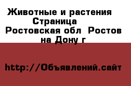  Животные и растения - Страница 10 . Ростовская обл.,Ростов-на-Дону г.